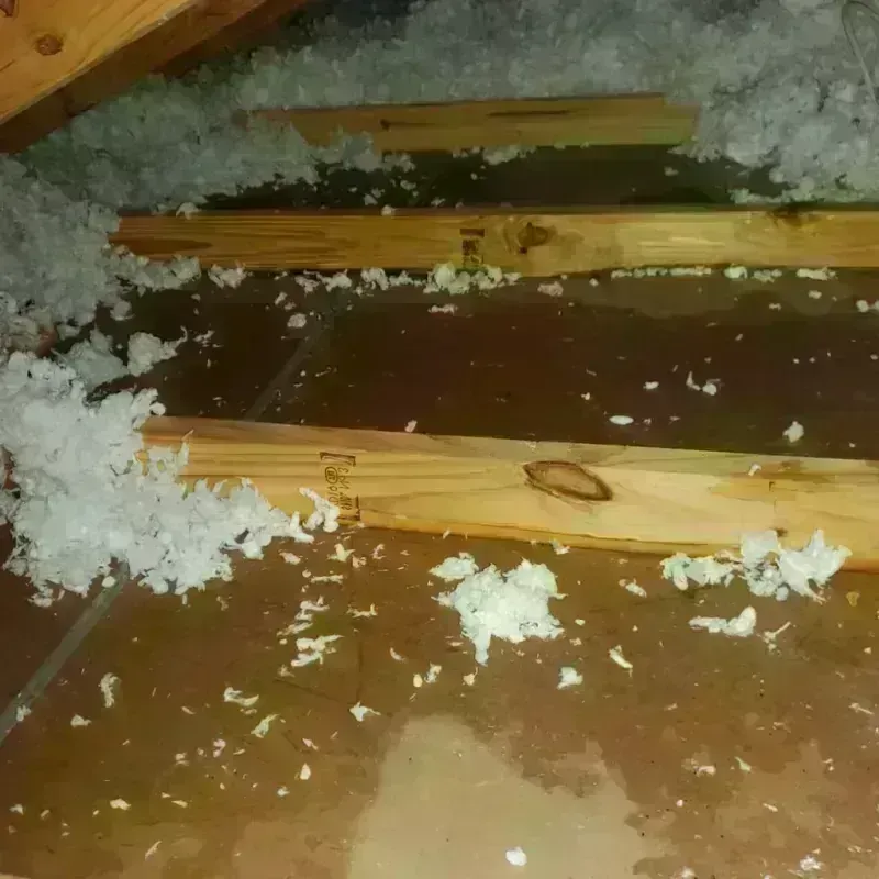 Attic Water Damage in Port Carbon, PA